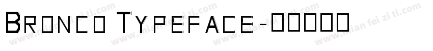 Bronco Typeface字体转换